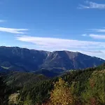 Inn Fruehstueckspension Gesslbauer 3*
