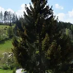 Fruehstueckspension Gesslbauer Inn Steinhaus am Semmering