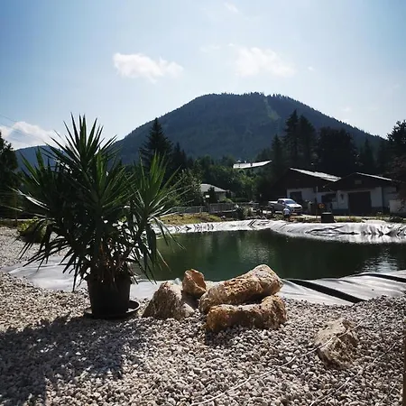 Fruehstueckspension Gesslbauer 3*