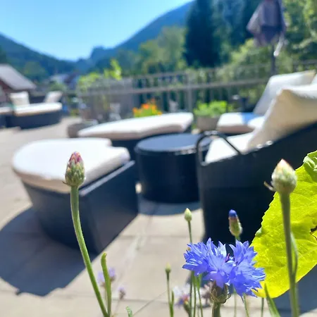 Fruehstueckspension Gesslbauer Steinhaus am Semmering