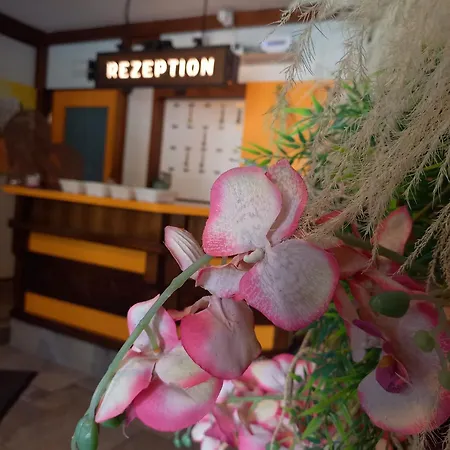 Fruehstueckspension Gesslbauer 3*