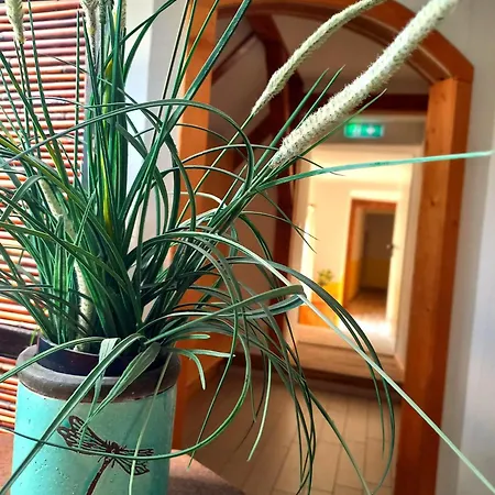 Fruehstueckspension Gesslbauer 3*