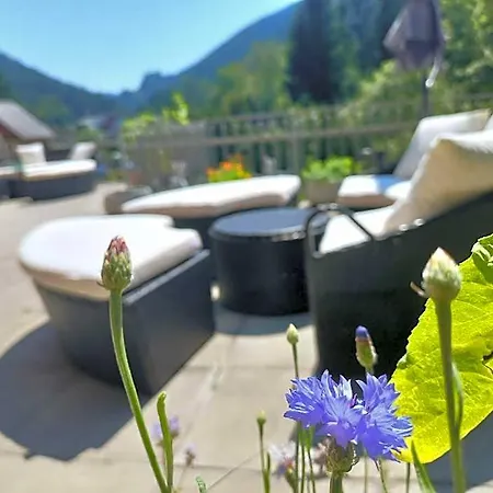 Inn Fruehstueckspension Gesslbauer 3*