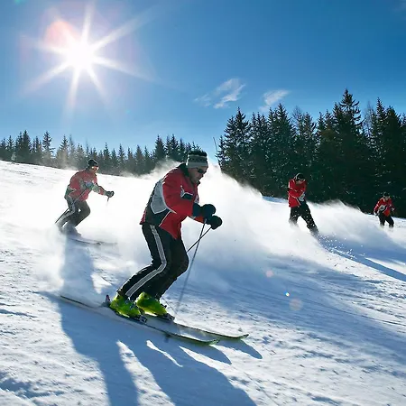 Fruehstueckspension Gesslbauer Mini-hôtel 3*