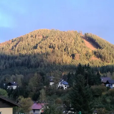 Fruehstueckspension Gesslbauer Inn 3*