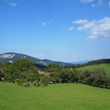 Fruehstueckspension Gesslbauer Penzion Steinhaus am Semmering