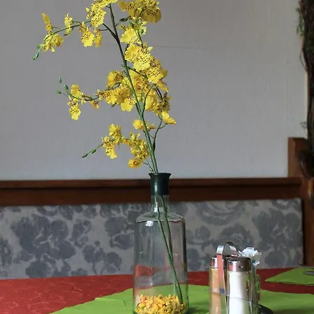 Fruehstueckspension Gesslbauer 3* Steinhaus am Semmering