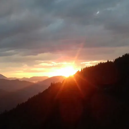 Fruehstueckspension Gesslbauer Penzion Steinhaus am Semmering