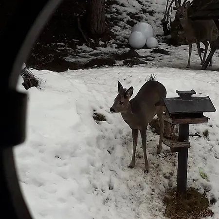 Locanda Fruehstueckspension Gesslbauer