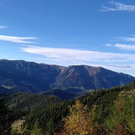 Inn Fruehstueckspension Gesslbauer 3*