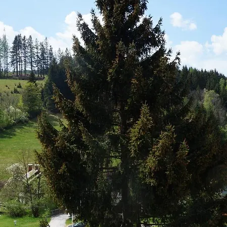 Fruehstueckspension Gesslbauer Πανδοχείο Steinhaus am Semmering