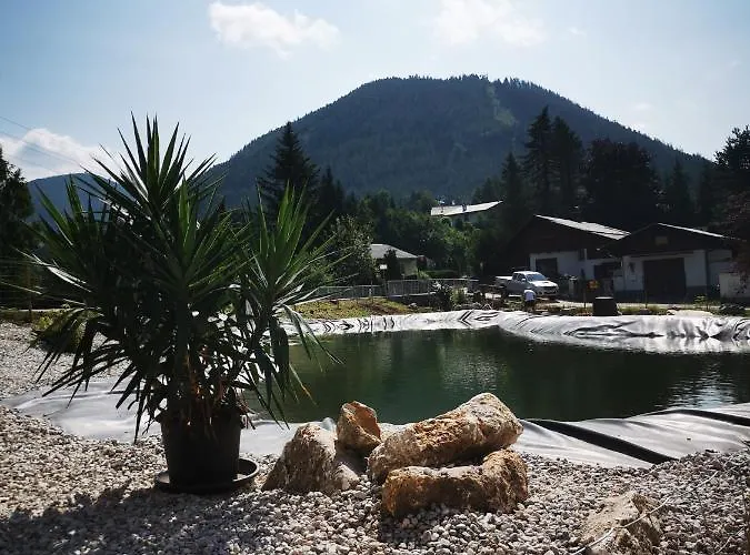 Fruehstueckspension Gesslbauer 3*