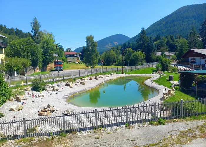 Värdshus Fruehstueckspension Gesslbauer Steinhaus am Semmering