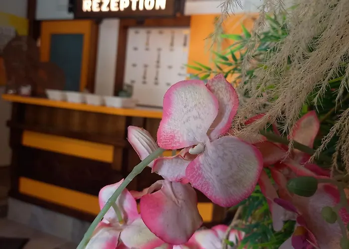 Fruehstueckspension Gesslbauer 3*