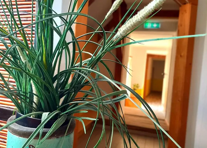 Fruehstueckspension Gesslbauer 3*