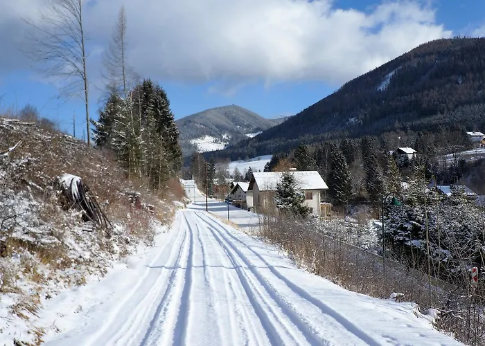 Fruehstueckspension Gesslbauer 3* Steinhaus am Semmering