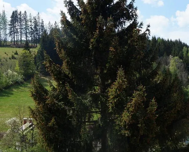Fruehstueckspension Gesslbauer Värdshus Steinhaus am Semmering